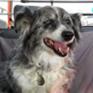 Meet your Posher, Mindy